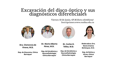 Excavación del disco óptico y sus diagnósticos diferenciales